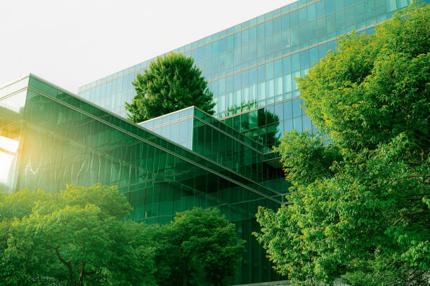 Business Image